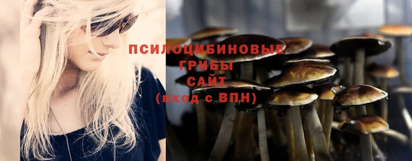 хмурый Арсеньев