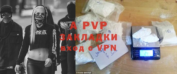 хмурый Арсеньев