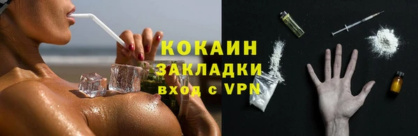 хмурый Арсеньев