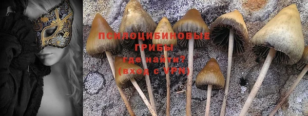 хмурый Арсеньев