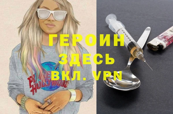 хмурый Арсеньев