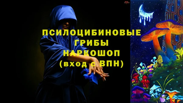 хмурый Арсеньев