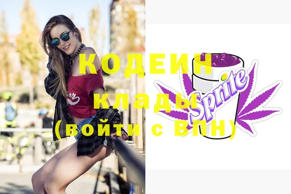 хмурый Арсеньев