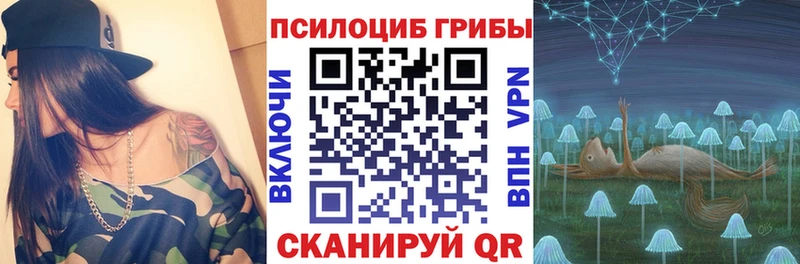 купить наркоту  Нижнеудинск  Галлюциногенные грибы Cubensis 